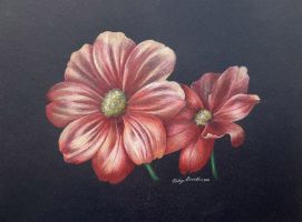 Two Flowers EPacket Robyn Brooks CDA